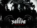 Saliva-Hunt You Down