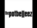 The Potbelleez-junkyard