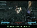 FALLOUT3でレイダープレイ 9