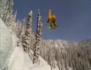 Standard Films - Black Winter Teaser