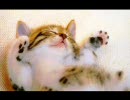 【酔っ払って】もざいくかけろ！Ver.※【歌ってしまった】