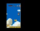 視力０．５のマリオが行く！！