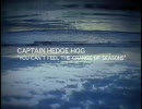 CAPTAIN HEDGE HOG - You can't feel the change of seasons
