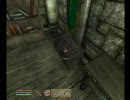 Oblivion プレイ動画 林檎追走記『首狩り斬姫が往く』　第二十七話