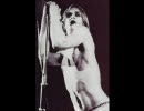 The Stooges - I Got a Right