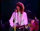 The Pretenders／Birds Of Paradise