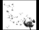 Fly - Courtney Love
