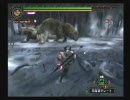 新・独り身な大剣使いの戦い　MH3　イビルジョーソロ2/2