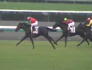 客席目線の中山2R　２歳未勝利戦　2009.09.12