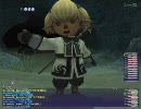 FF11 サンドウォーム内ラムトン戦 再録