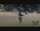 MHF Fクエ　死神　両討伐27ラスタ　2/2