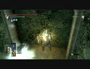 暇な大学生がデモンズソウルを初プレイ実況してみたpart20-2
