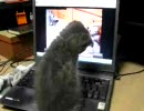 式部さんんんんんんんんんんんんんんんんんんんんんんんｎ