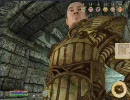 【オブリビオン】ウッドエルフも愛して Part.31【実況】