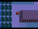 英語が出来ない俺がポケモン銀の海外版を翻訳実況プレイPART3