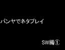 パンヤでネタプレイSW編①