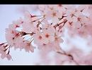 [カラオケ] イタリア語の曲 [花帰葬]