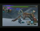 ディガレックス×2匹村クエ-上位【MHP2Gエコー実況】14