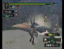 【MHP2G】すかいぷはんたーず。【第2回】