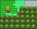 【二人三脚】　ポケモンプラチナ実況プレイ　第八回