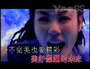 Faye Wong - 精彩