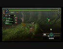 【MHP2G】ゲストと一緒にモンハンKiD　第３回・罰ゲーム編