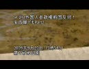 ９･２０外国人参政権断固反対！名古屋デモPart2(1/4)