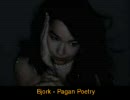 Bjork - Pagan Poetry