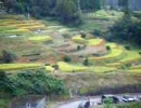 小城・江里山棚田（全国１００選）