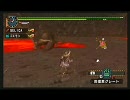 ラージャン村クエ上位【MHP2Gエコー実況】15