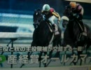 【のび太】競馬予想動画　　オールカマーを予想