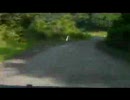 【車載動画】酷道157号線を岐阜から福井方向に走ってみた　おまけ映像