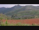 UNI-DV36FTテスト動画