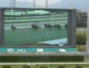 【のび太】競馬予想動画　　　G２二本立て