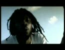 Bushman － Lighthouse