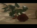 ありふれない日常　日本語字幕　3/4