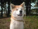 作業用エロゲBGM83～お気に入りBGM編 その9～