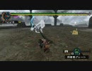 【MHP2G】久々に狩りに出てみよう５