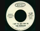 The Remains - I Can't Get Away From You