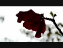 【Trance】Alan Delabie - Il Reve De Toi (D Gate remix)【Full】