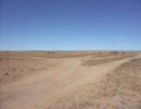 20091004_horse