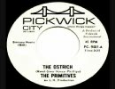 The Primitives - The Ostrich