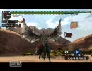 【MHP2G】 リオ夫婦とへたくそハンター