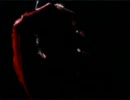 Blood on the Dance Floor( Extended Version)
