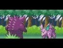 ポケモン(ゲーム)　サファイア、リーフグリーンOP