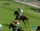 2歳未勝利_スズカイルマン