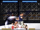 タイトル未定格闘ゲーム