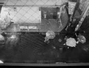 Library Tapes - Above The Flood