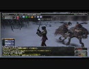 【FF11】デュナミス雑魚殲滅例【三垢】