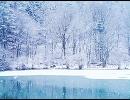 白い奇跡　/　Winter Mix